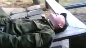 10 птичек