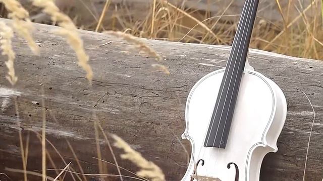 Какое дерево для скрипки смотреть онлайн