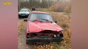 Шишаки без Гоголя: нетверезий водій на Полтавщині пошкодив пам'ятник