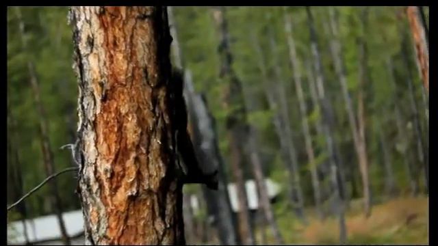 Магаданская область смотреть онлайн