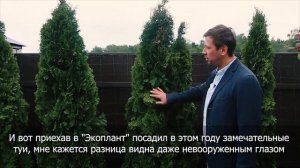 ГОЛУБИКА. Посадка и Уход за Голубикой Садовой Высокорослой