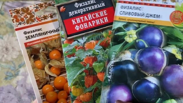 ЧТО ПОСЕЯТЬ В НОЯБРЕ. Зимний огород или огород на подоконнике. Обзор покупок в магазине Семь Семян смотреть онлайн