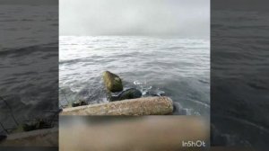 Кефаль на каспийском море. Рыбалка в Махачкале 2020.