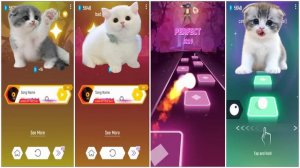 CUTE CATS - DANCE MONKEY - BAD GUY - PUSS IN BOOTS - HOW YOU LIKE THAT - TILES HOP EDM RUSH