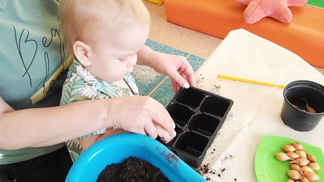 Сиреневая (младшая группа). Посадка лука смотреть онлайн