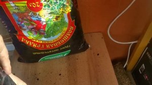 Как вырастить Огурцы на балконе на фитильном поливе