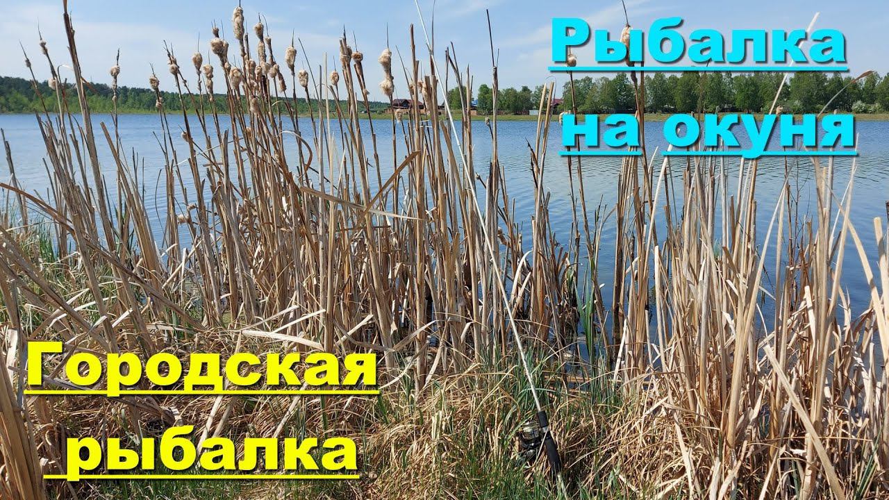 Городская рыбалка. Рыбалка на окуня. Всё о рыбалке на спиннинг