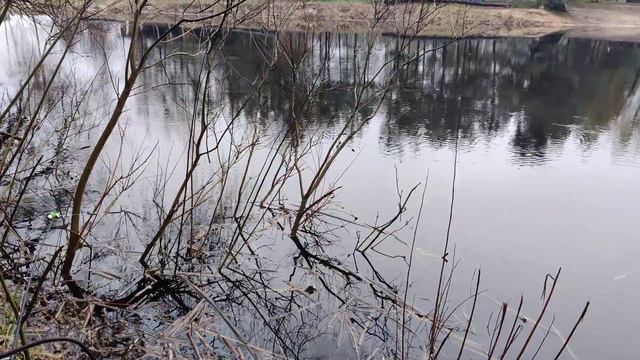 #Fishing in Ukraine 2023 - #Фидерная #Рыбная Ловля в Украине Весной 2023 в пасмурный день с дождико