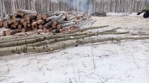 Трелевка на лтз 60аб. ответы на вопросы.