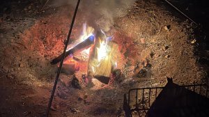 про природу, Тайга, Шишка, Базой-24 поездка 2