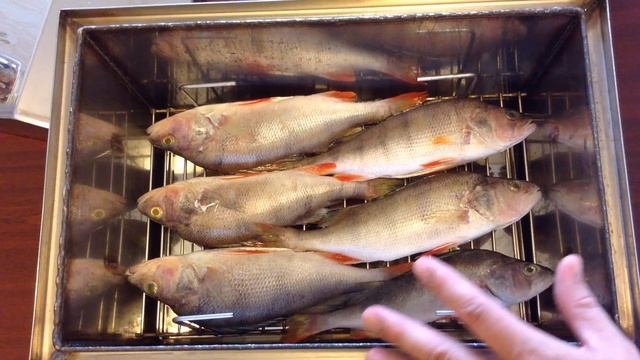 Копчение рыбы в домашних условиях. Окунь