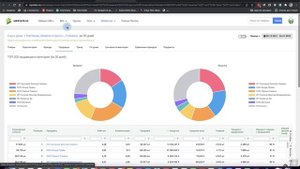 Как начать продавать на маркетплейсах. Бизнес на продаже семян. Агробизнес на WB