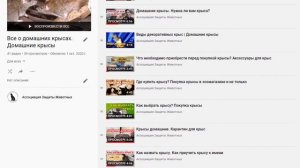 10000 подписчиков на канале Ассоциация Защиты Животных