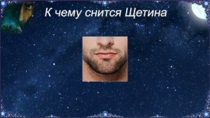 К чему снится Щетина (Сонник)