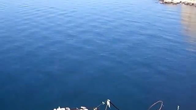 Симеиз. Гора Дива. Видеообозрение. смотреть онлайн