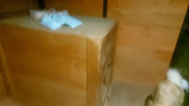 Перешли на натуралку лайки смотреть онлайн