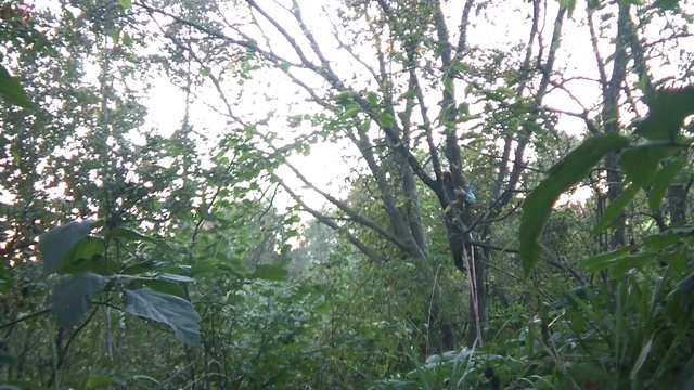 лесной спорт 2016 смотреть онлайн