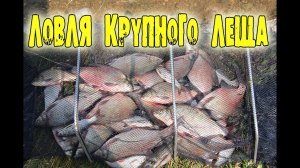 ЛОВЛЯ КРУПНОГО ЛЕЩА.  Лучшая моя фидерная рыбалка!