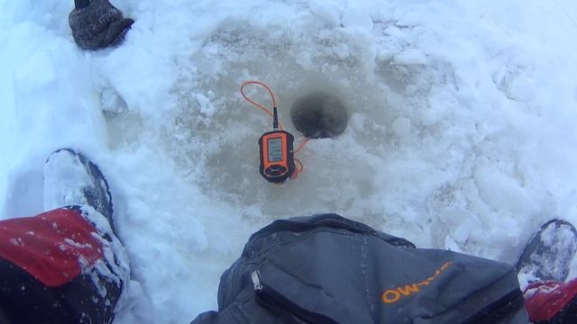 Судак со льда на Волге. Ловля судака на банан. Съёмка подводной камерой.