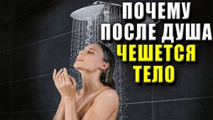 Почему после душа чешется тело