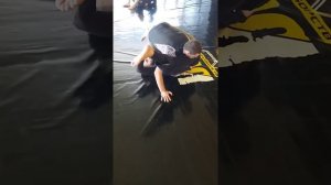 Inverted guard pass 2