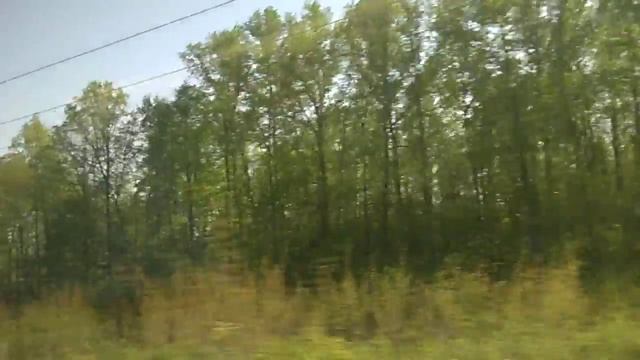 РЖЕВ БАЛТИЙСКИЙ ЗУБЦОВ РЖЕВСКИЙ МЕМОРИАЛ МОСКВА смотреть онлайн