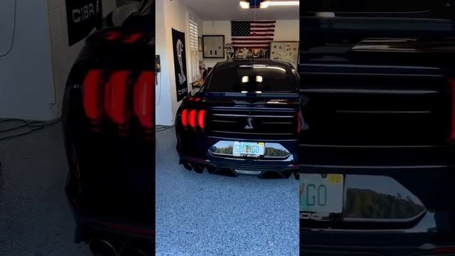 Shelby GT500 Cold Start ??️