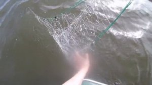 Ловля рыбы сетями на частном водойоме весной 2 часть