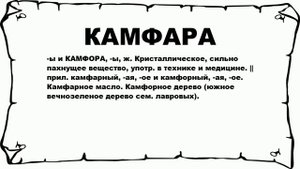 КАМФАРА - что это такое? значение и описание
