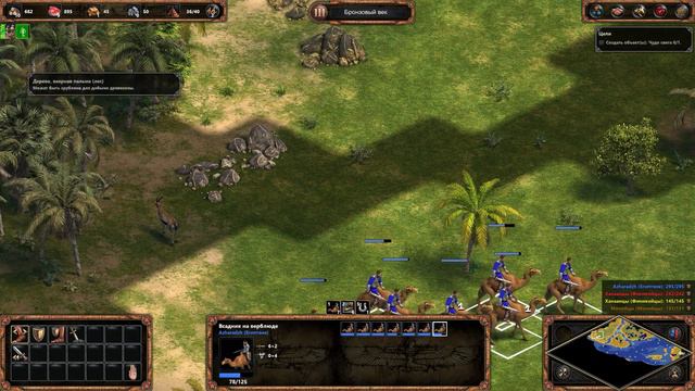 Age of empires: definitive edition 🔶 Прохождение 🔶 Расцвет Египта: № 11 Чудо Света 🔶 2k