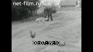 1979г. село Илемно. Волков Константин Николаевич. Солецкий район Новгородская обл