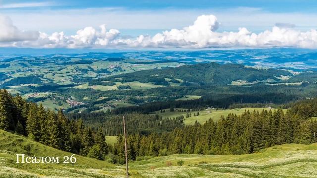 26 Псалом Давида | Видео Библия HD | Аудио Библия, Псалтирь