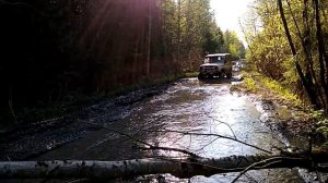 Вырица-трофи 4х4 покатушка по бездорожью 13.05.18