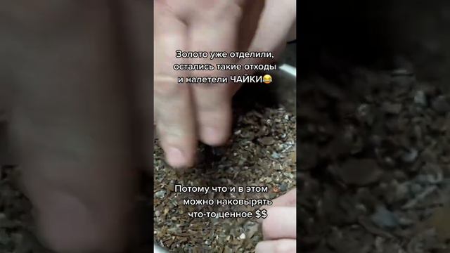 Добыча золота в Амурской области #золотодобыча #золотороссии #россияновости #рф
