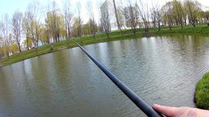 Карась на мормышку с чесноком! Боковой кивок. #карась