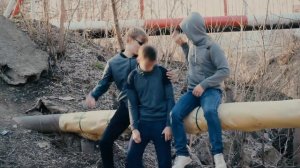 Черные волки