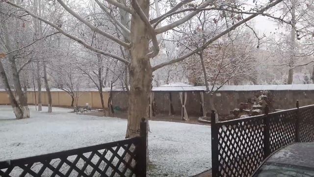 Снег идёт, снег идёт
Значит скоро Новый Год!!!!?⛄?Ташкент школа "Oltin Qanot" смотреть онлайн