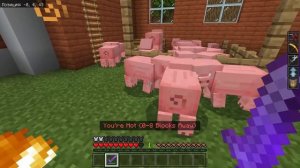 Майнкрафт но Мы Превращаемся в МОБОВ и Играем в ПРЯТКИ в Майнкрафте Троллинг Ловушка Minecraft