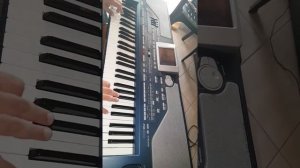 Shalaxo Korg pa800