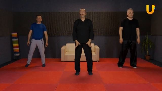 Четкость, грациозность, расчетливость, предосторожность, гармоничность | Шао Сан смотреть онлайн