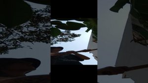 1000003464.mp4