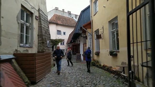 Экскурсия по Таллину, ресторан без света, гоняемся за местной знаменитостью