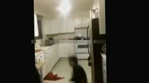 Электрошокер в действии (подборка)))
