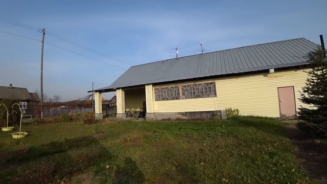 11 октября. Прогулка и ОТВЕТЫ на вопросы. Мои рассуждения о Питании. смотреть онлайн