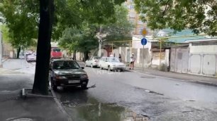 На улице Крылова в Симферополе перекрыли дорогу из-за обвалившегося дерева
