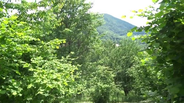 Земельный участок 20 соток в ауле Шхафит за 3500,0 тыс. руб. смотреть онлайн