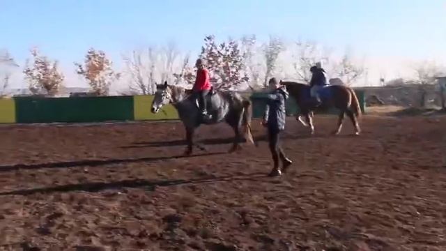 Конная туристическая база в Абакане "Золотая подкова"