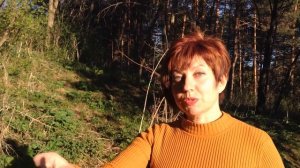 Съемка НА ПРИРОДЕ | Съемки видео НА УЛИЦЕ | Правильное освещение для видео на улице