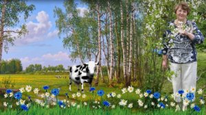 Ромашки цветы Бабкина