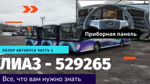 ОБЗОР ЛИАЗ 529265 ЧАСТЬ 2